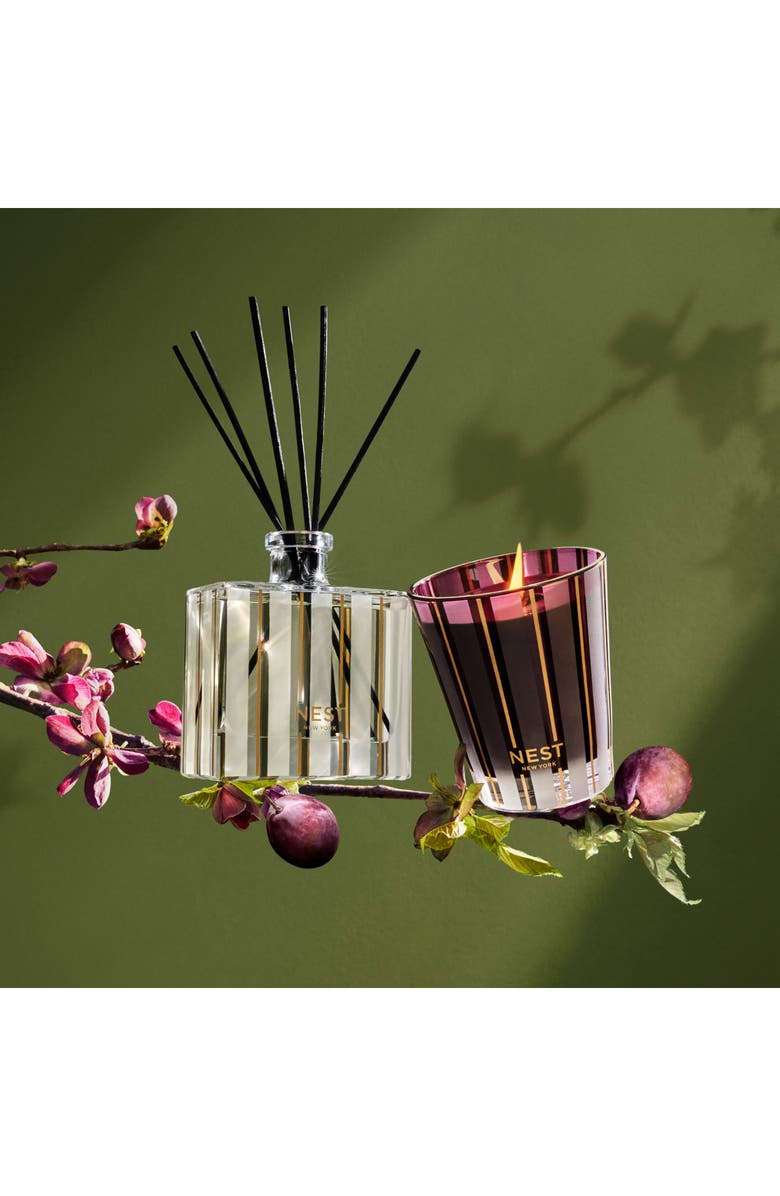 NEST New York Autumn Plum Reed Diffuser, Alternate, color, 
