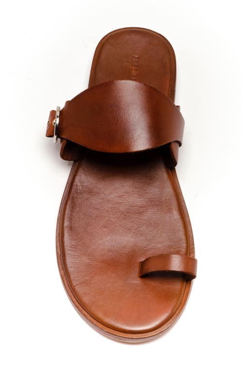 Free People Barcelona Toe Loop Sandal In Luggage Leather
