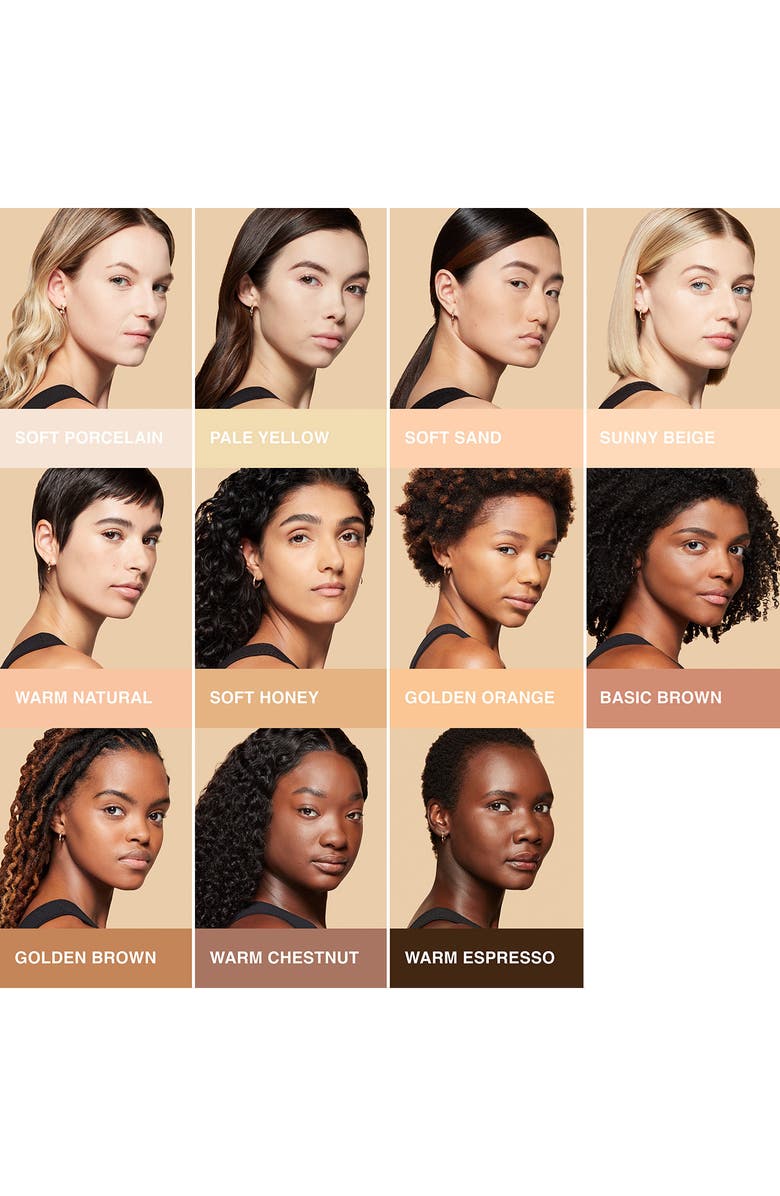 Bobbi Brown Sheer Finish All Day Oil Control Matte Pressed Powder, Alternate, color, Basic Brown