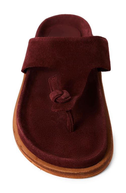Shop Free People Mika Flip Flop In Cherry Cola Suede