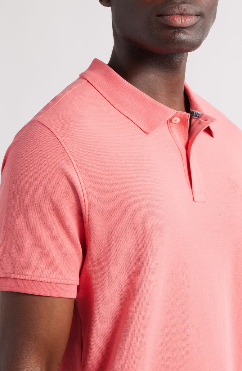 Tom & Teddy Solid Pima Cotton Piqué Polo, Alternate, color, Watermelon