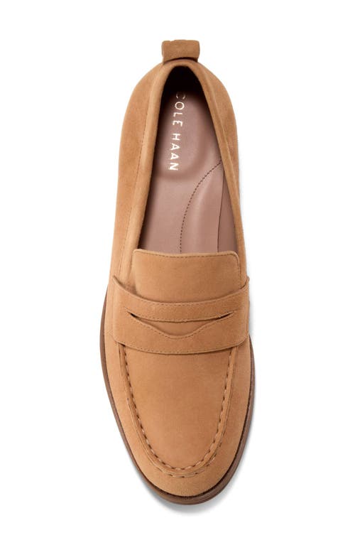 Cole Haan Camea Lug Sole Penny Loafer In Biscuit Suede