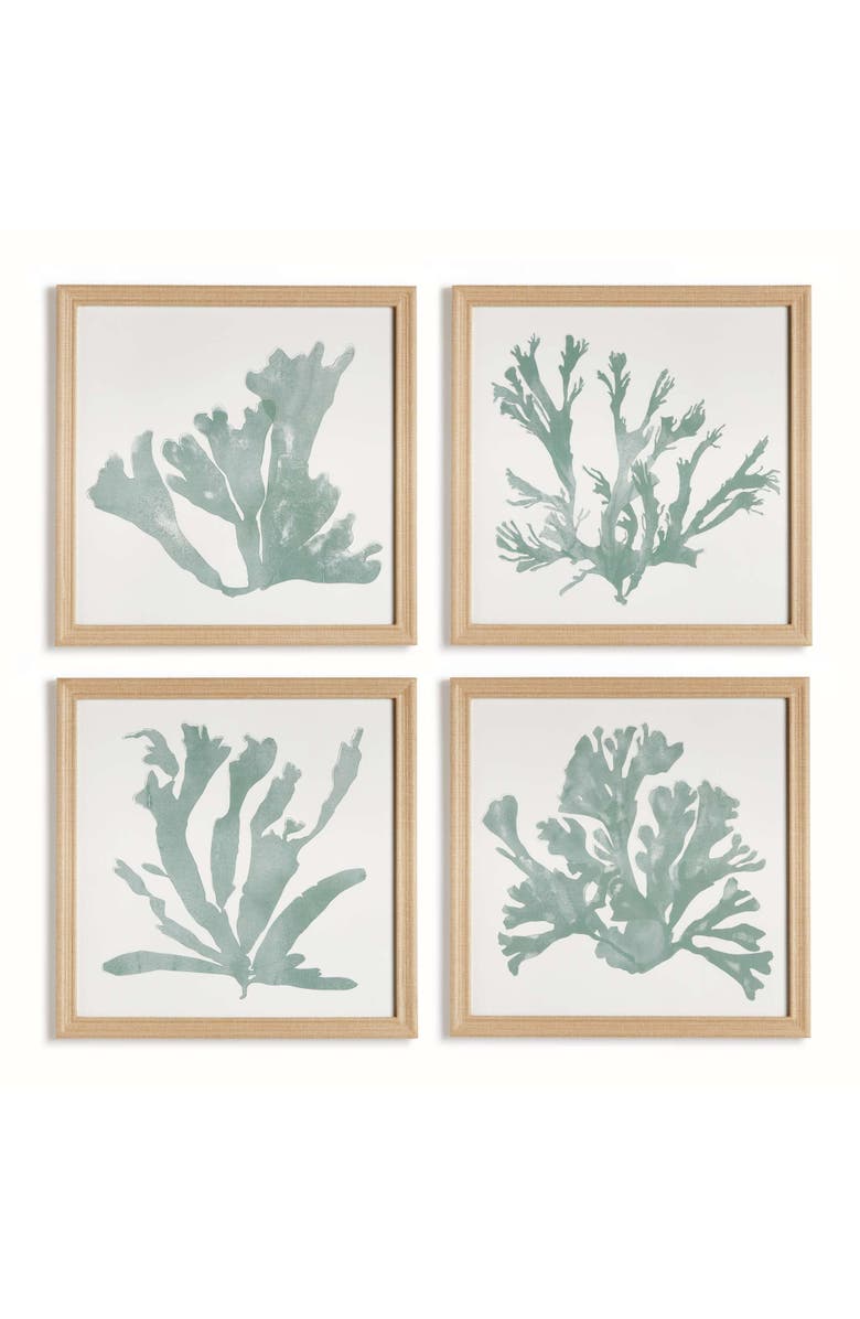 Napa Home & Garden Coral Silhouettes In Soft Green Set Of 4, Main, color, 