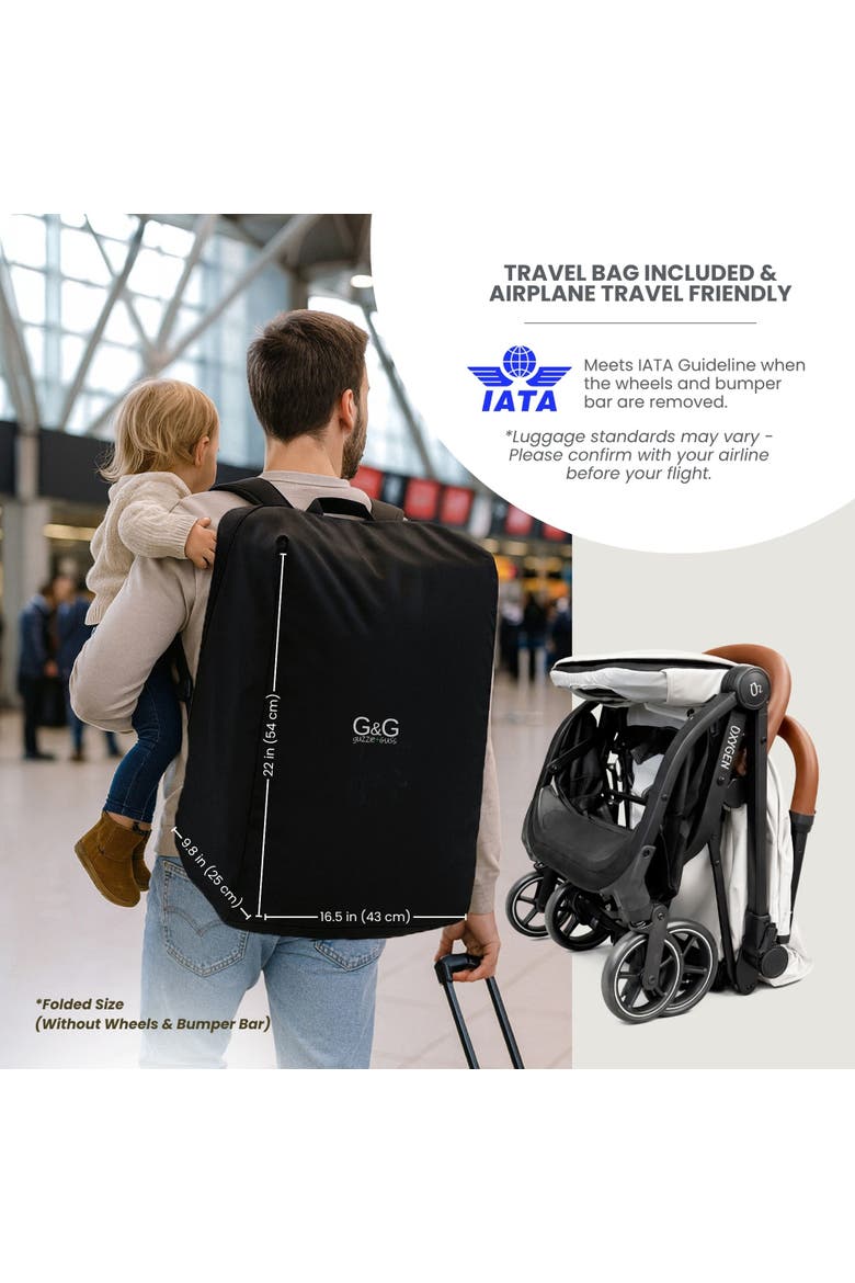 Oxygen v3 Lightweight & Compact Stroller for Newborns & Toddlers, Alternate, color, Platinum