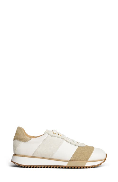 The Office Of Angela Scott The Quinn Felted Wool Sneaker