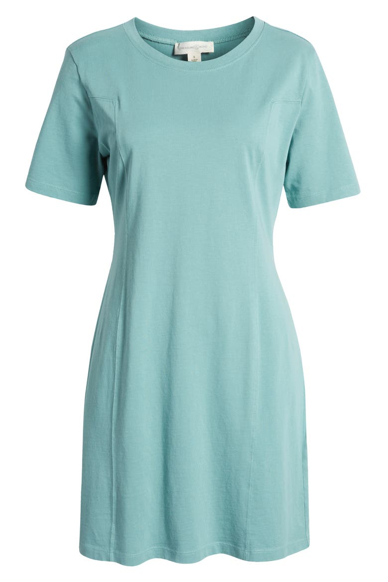 Seamed Organic Cotton T-Shirt Dress, Alternate, color, SEAGLASS