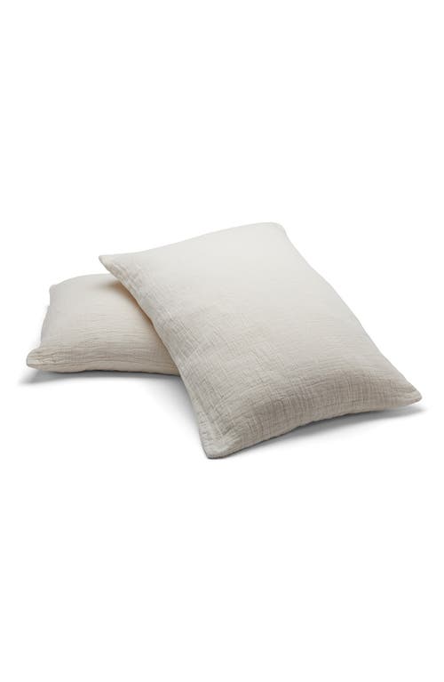 Casper Textured Cotton Pillow Shams in Cream 