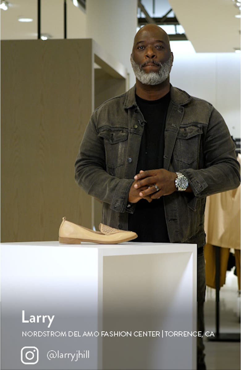 Blazey Pointed Toe Flat, sales video thumbnail