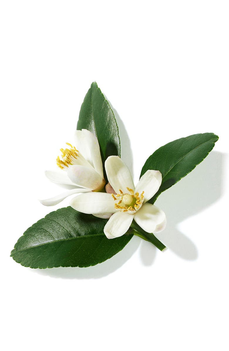 Lancôme La Vie est Belle L'Eclat Eau de Parfum, Alternate, color, 