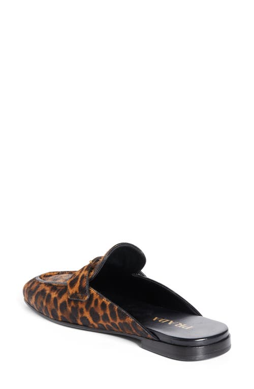 Prada Leopard-print Leather Mules