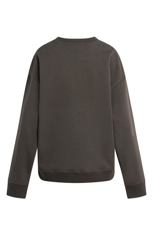 Favorite Daughter Collegiate Cotton Blend Sweatshirt In Brown