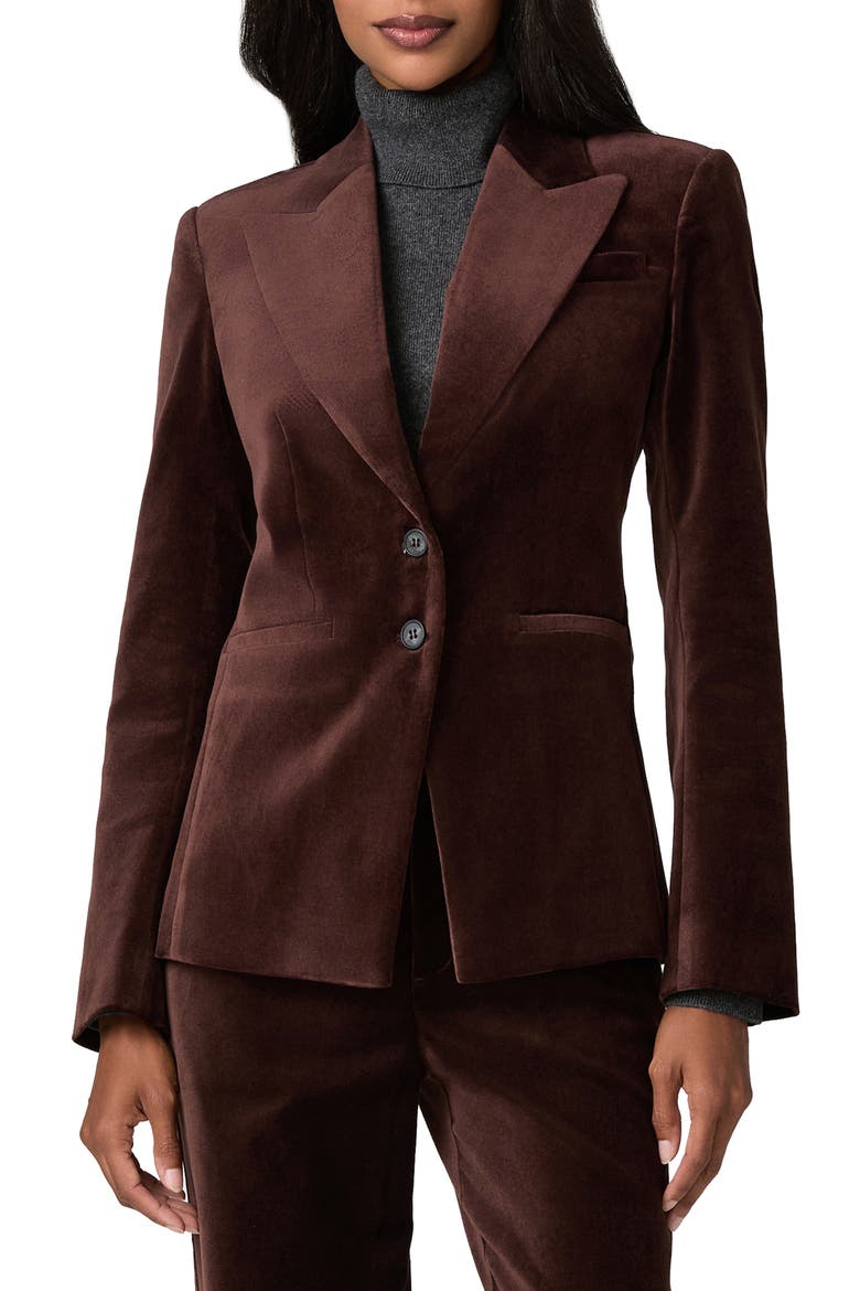 Chelsee Velvet Blazer, Main, color, BURGUNDY