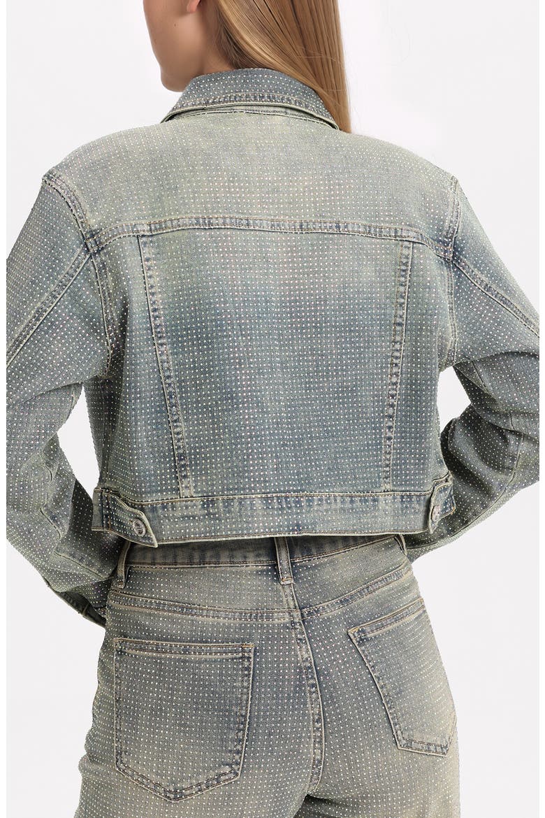 Rhinestone Crop Denim Jacket, Alternate, color, PURE EDGE