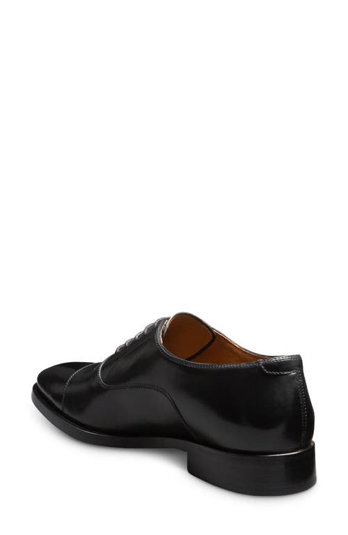 Allen Edmonds Siena Clean Cap Toe Oxford In Animal Print