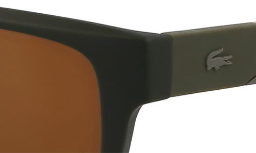 Lacoste L6042s 55mm Rectangular Sunglasses In Black