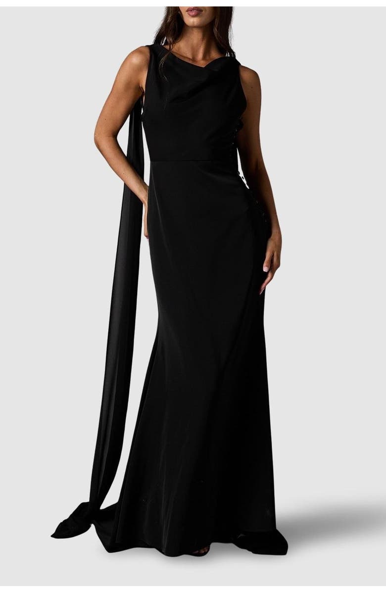 Coast Cowl Back Crepe Maxi Dress, Alternate, color, Black