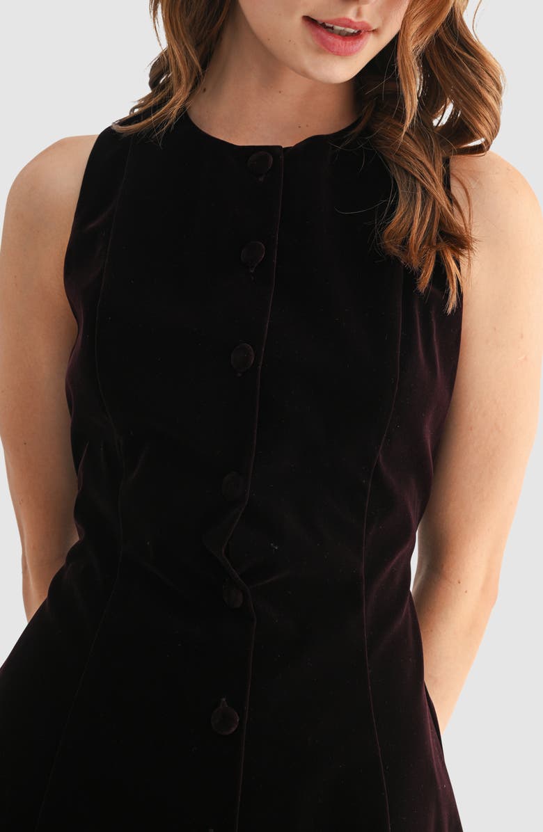 Lush Sleeveless Button Front Velvet Minidress, Alternate, color, Chocolate Brown