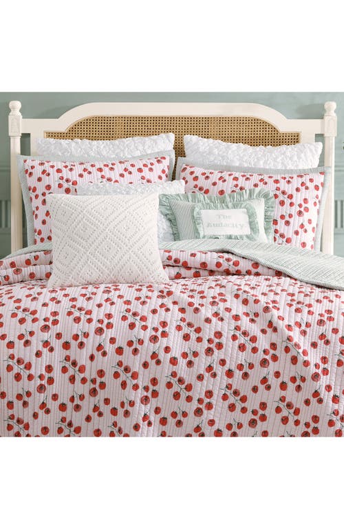 Peri Home Tomayto-tomahto Quilt & Sham Set In Pink Multi