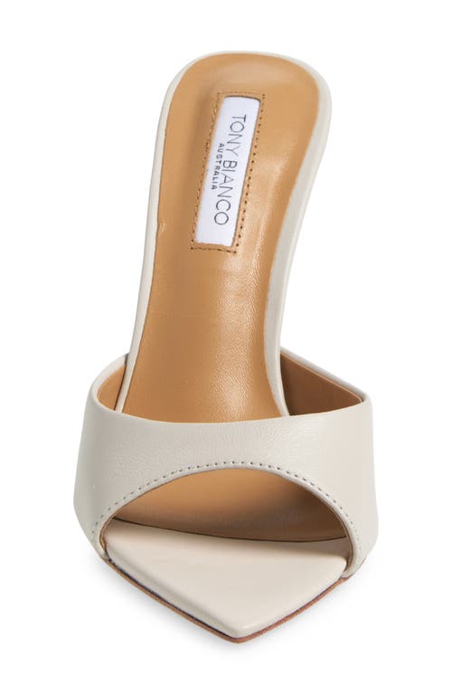 Tony Bianco Malibu Pointed Toe Slide Sandal