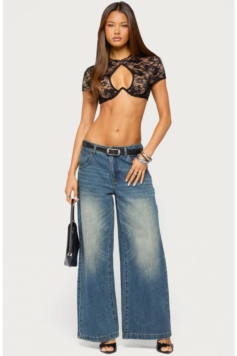 Doli Keyhole Cutout Lace Crop Top, Alternate, color, BLACK