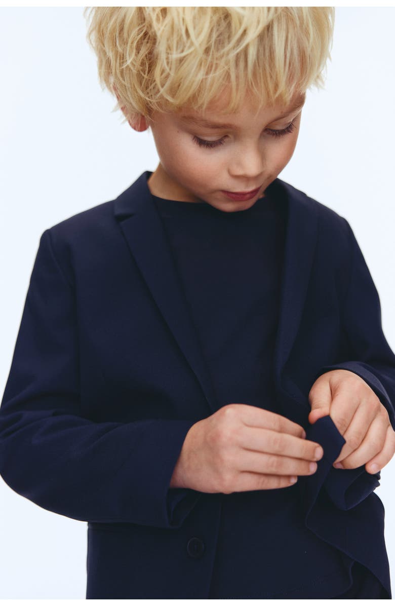 H&M Jacket, Alternate, color, 