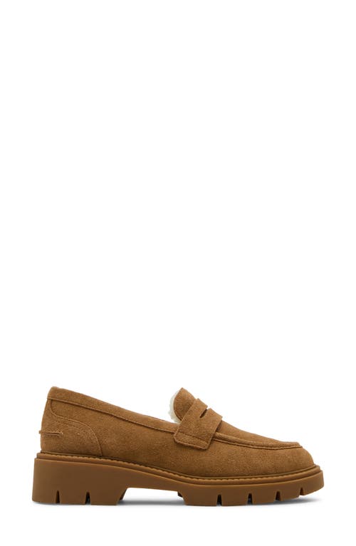 Blondo Kimora Waterproof Platform Penny Loafer In Multi