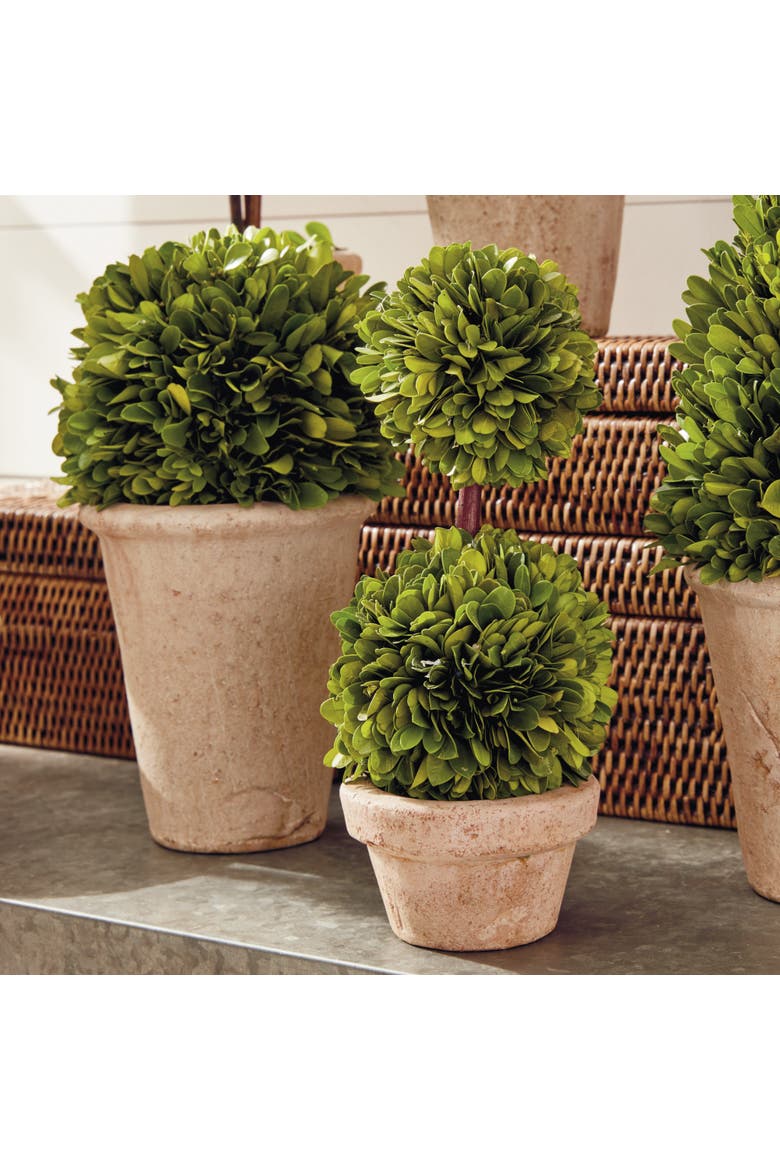 Boxwood Topiaries Faux (Fake) Set of 8, Alternate, color, Brown