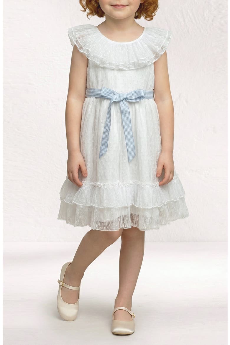 Kids' Ruth Clip Dot Chiffon Dress, Alternate, color, WHITE/ BLUE