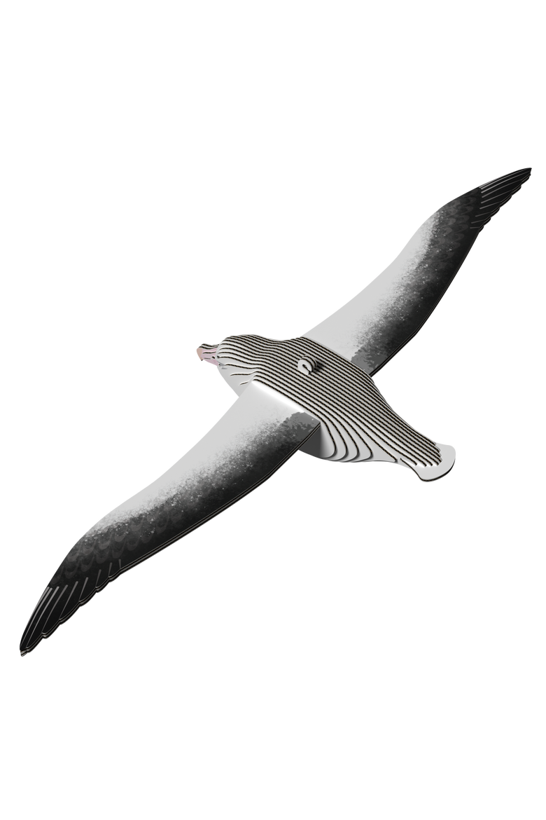 Royal Albatross 3D Puzzle, Alternate, color, No Color