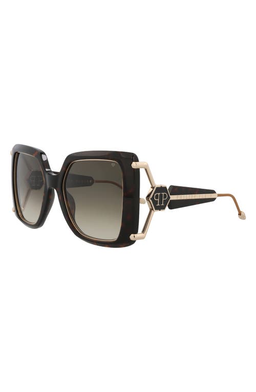 Philipp Plein Square-frame Acetate Sunglasses With Saddle Nose Bridge In Brown