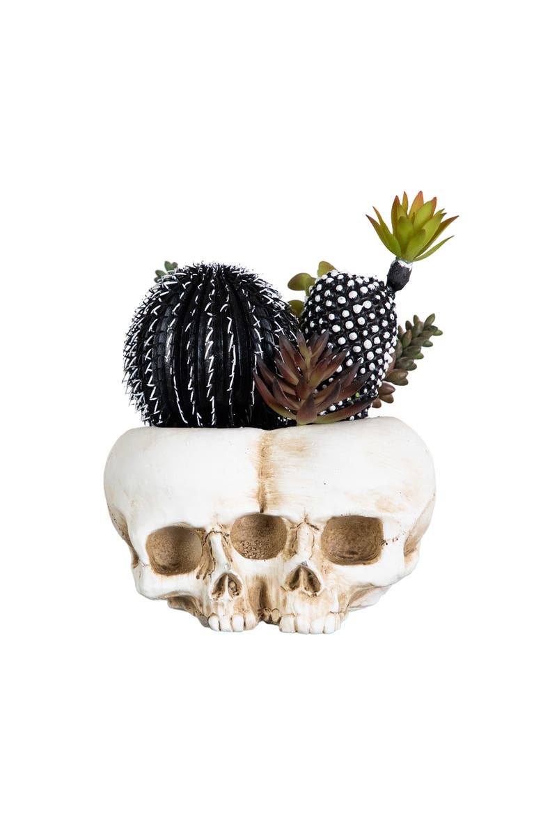 8-in Artificial Halloween Succulent Garden in Double Skull Planter, Main, color, White/Purple