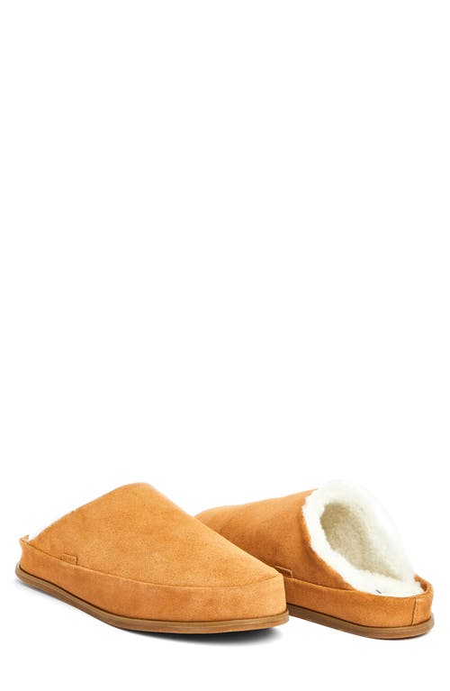Hari Mari Tio Genuine Shearling Lined Slipper In Tan