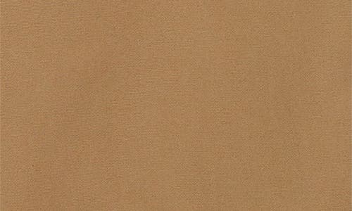 Versace Cotton Canvas Pants In Brown