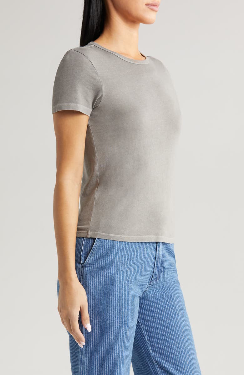 Brixton Carefree Organic Cotton T-Shirt, Alternate, color,