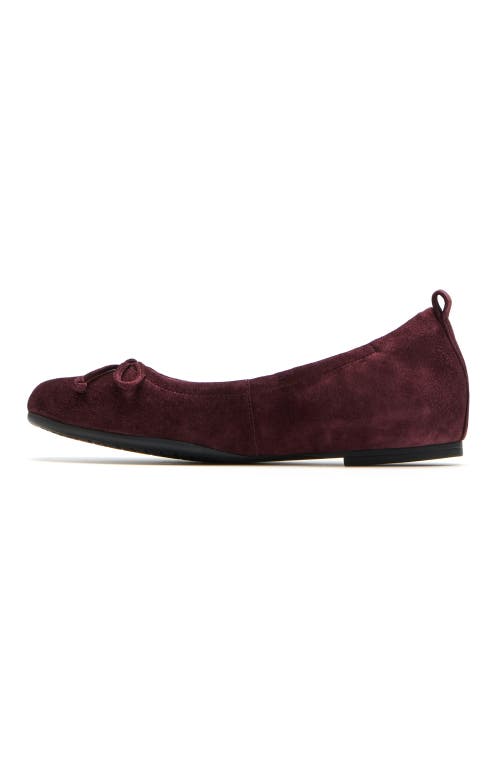 Abeo Cadence Bow Ballet Flat In Burgundy - Metatarsal