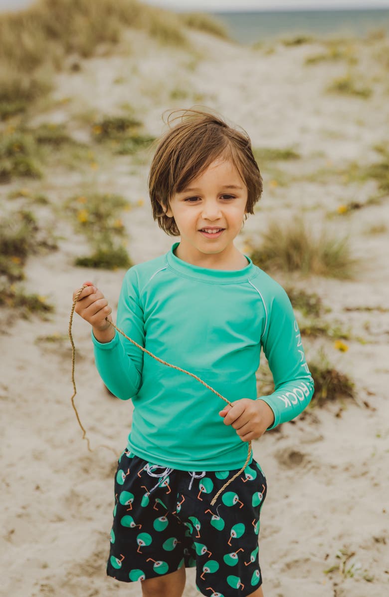 Snapper Rock Kids' Grassy Green Long Sleeve Rashguard, Alternate, color, 