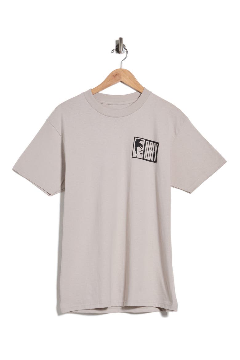 Half Icon Graphic T-Shirt, Alternate, color, SILVER GREY
