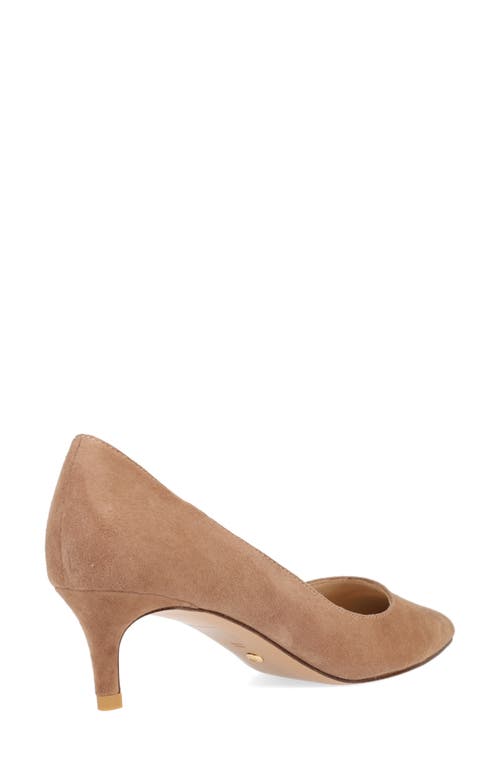 Pelle Moda Aeri Pointed Toe Kitten Heel Pump In Brown