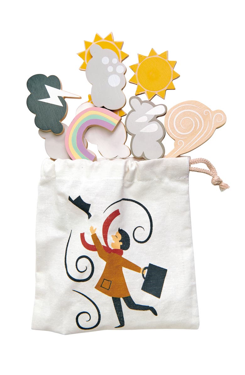 Tender Leaf Toys Weather Watch Board, Alternate, color, Multi