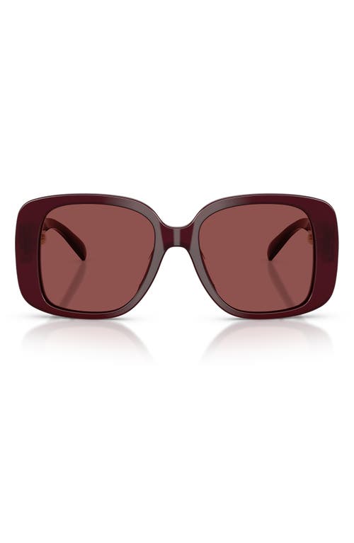 Tory Burch 53mm Gradient Square Sunglasses In Burgundy