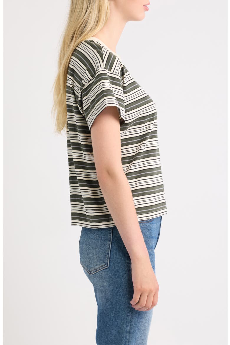 Kelly Stripe Boxy T-Shirt, Alternate, color, GREEN MULTI