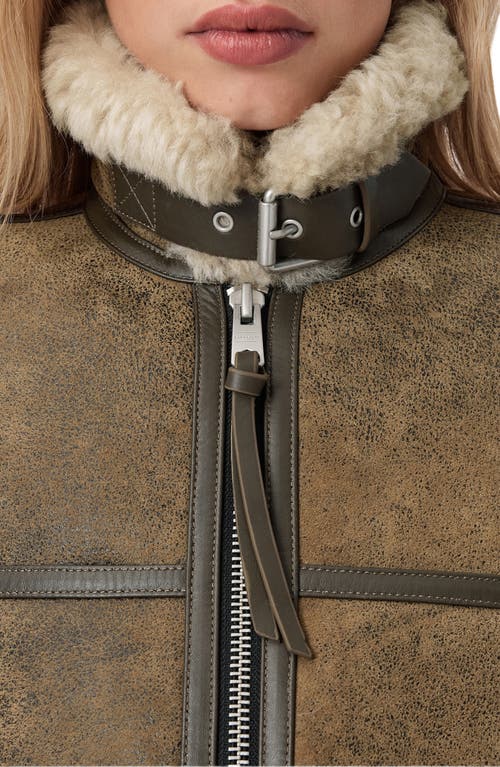 Allsaints Lorel Leather & Genuine Shearling Flying Jacket In Green