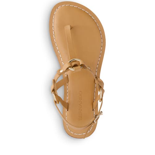 BERNARDO FOOTWEAR BERNARDO FOOTWEAR TUNI T-STRAP SANDAL