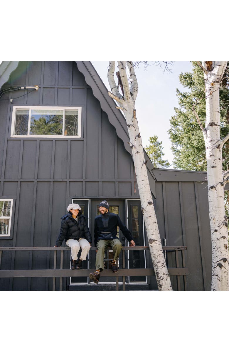 Turtle Fur Mount Snow Wool Beanie, Alternate, color, Gray