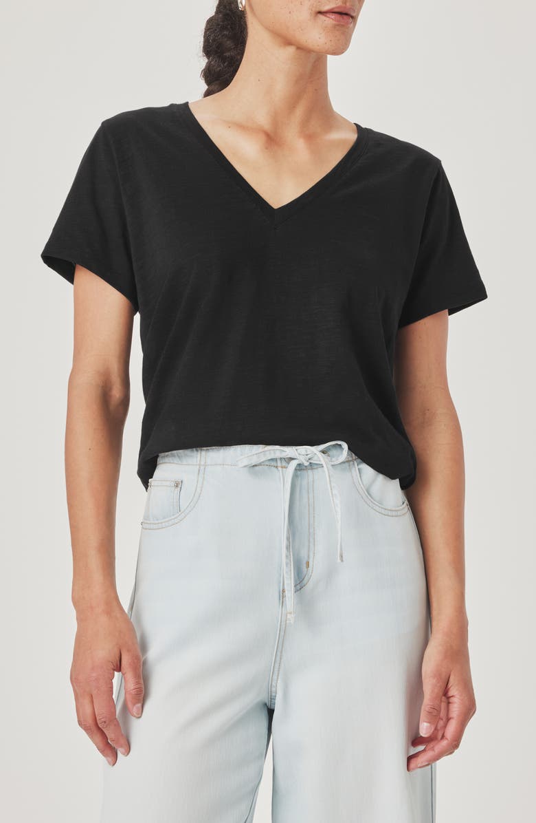 Splendid Louisa V-Neck T-Shirt, Main, color, Black
