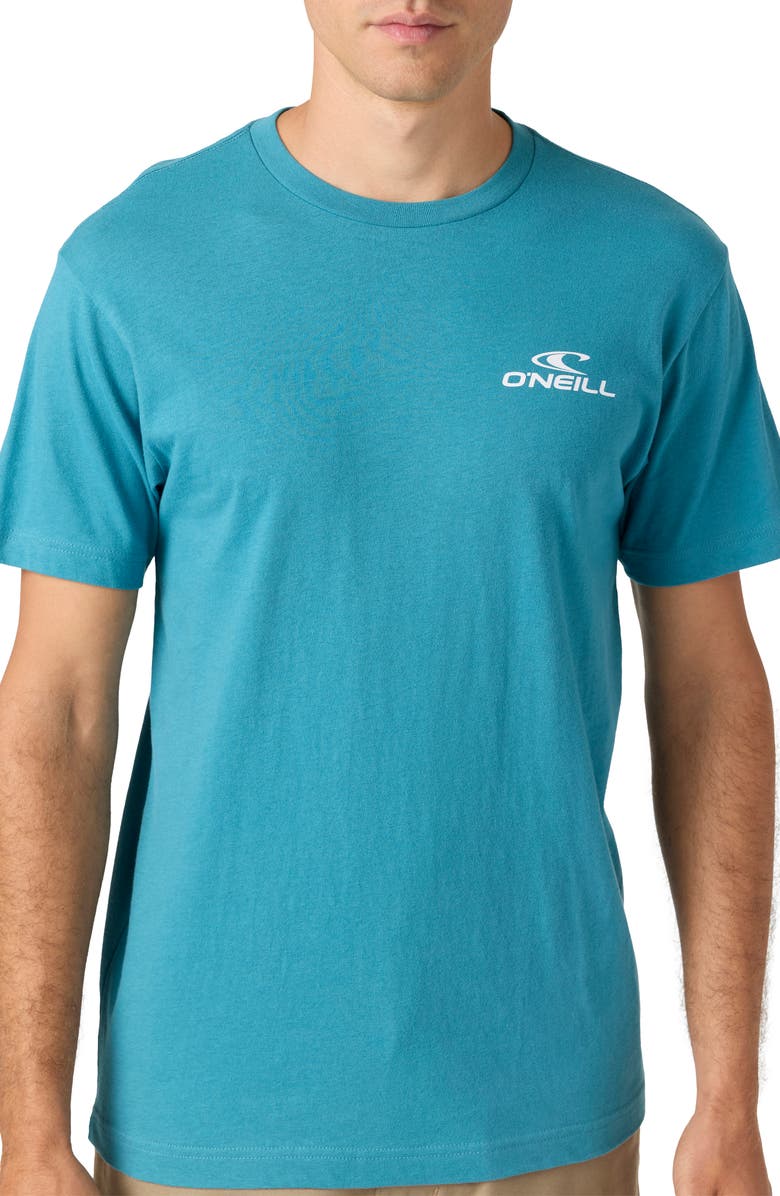 O'Neill Blended Floral Logo Graphic T-Shirt, Alternate, color, 