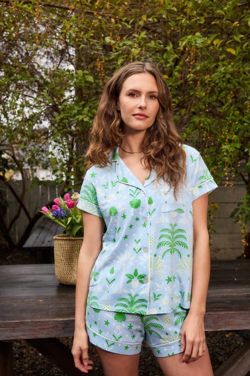 The Cat's Pajamas Pima Knit Short Set In Multi