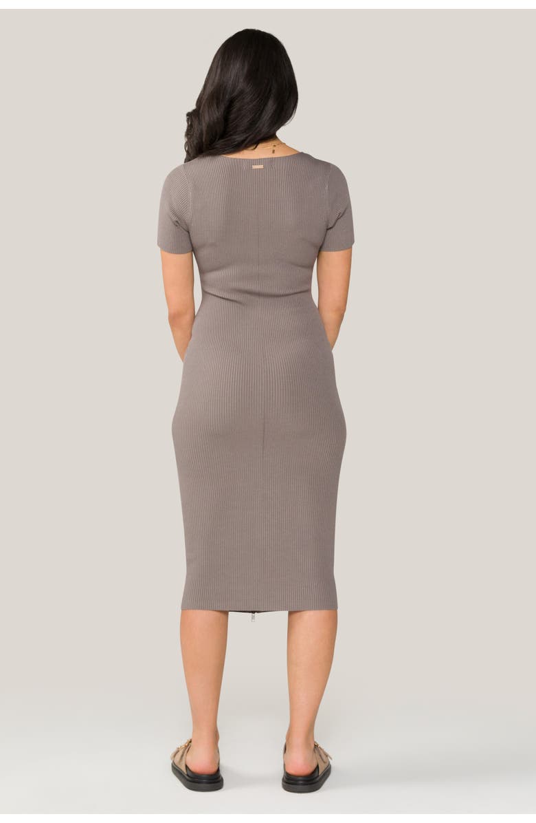 ALALA Cambria Dress, Alternate, color, 