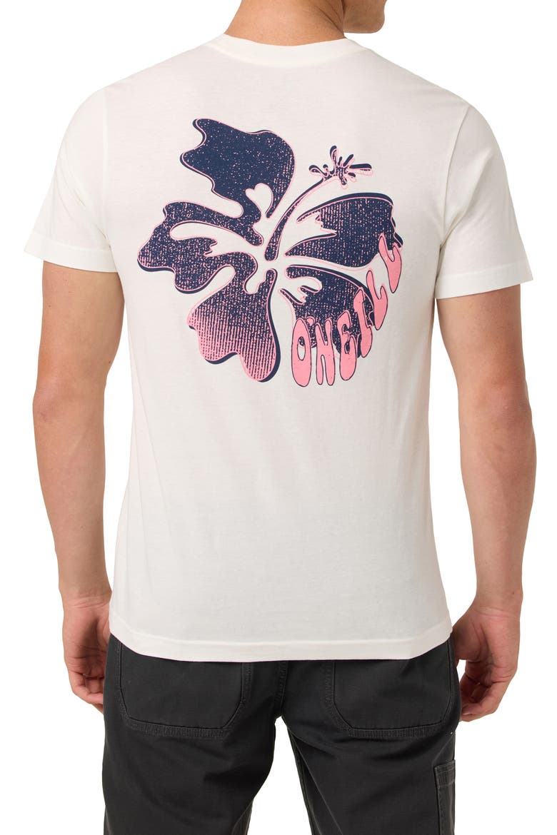 Hibis Classic Cotton Graphic T-Shirt, Alternate, color, TOFU