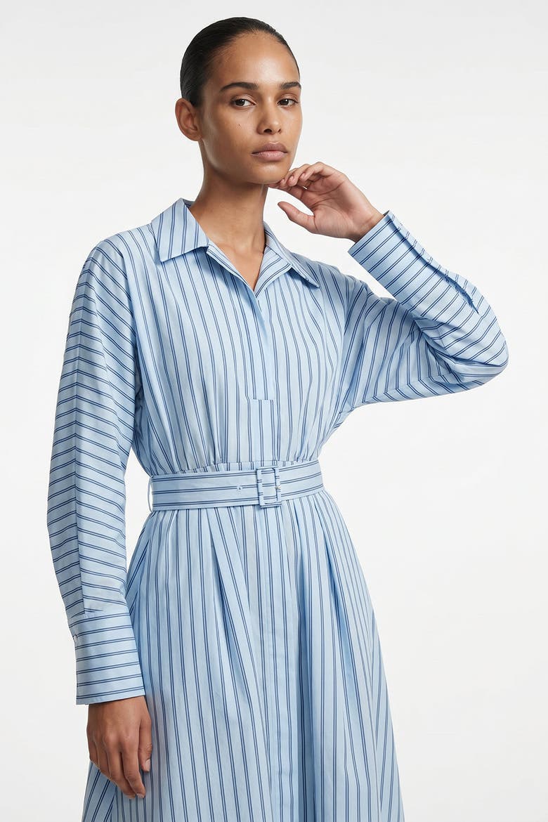 Bogie Raglan Sleeve Belted Midi Dress, Alternate, color, Multi Color